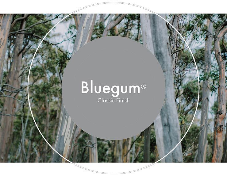 Colorbond Bluegum